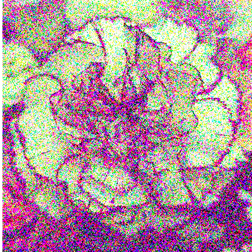 RAW denoising example